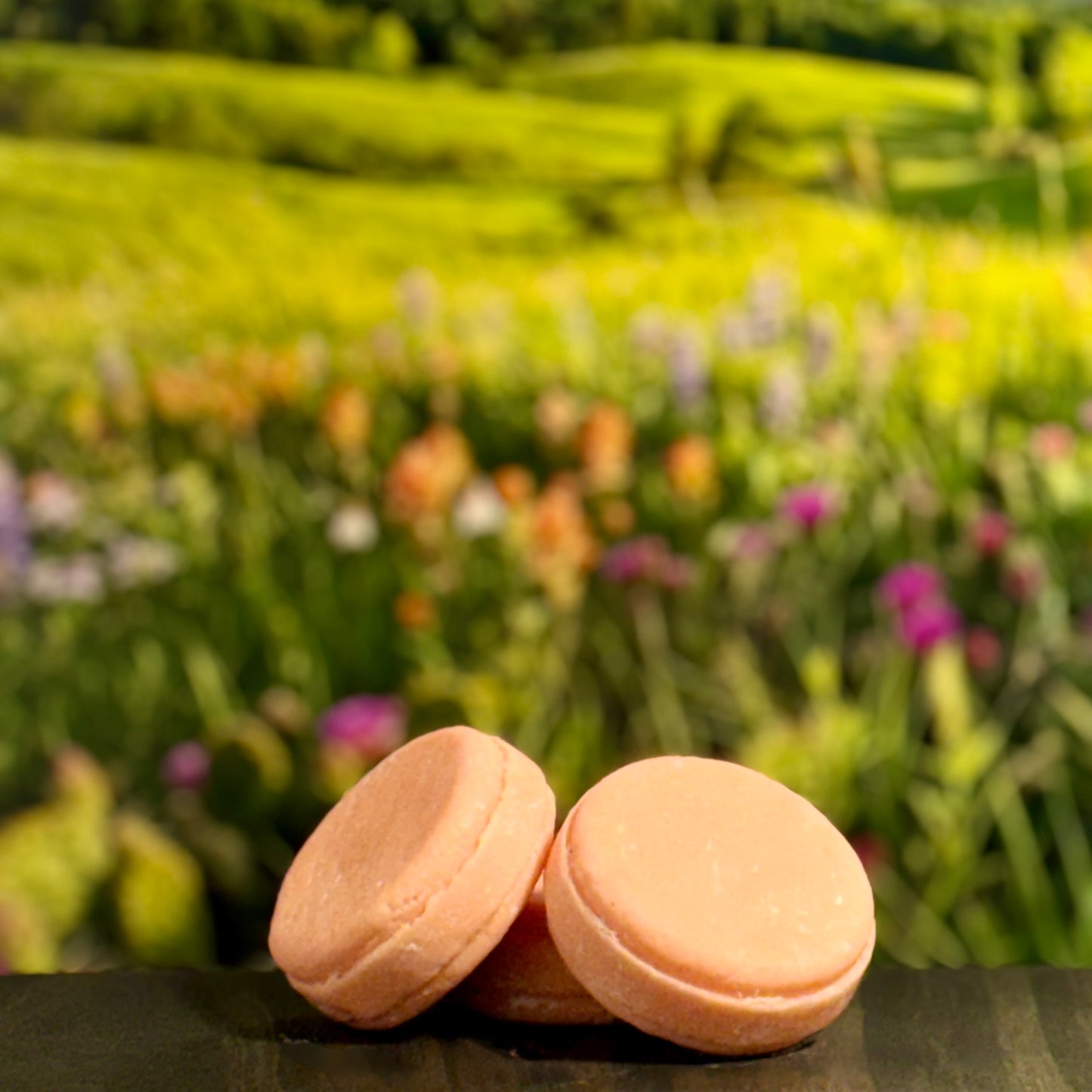 No. 7 - Coulee Country - Jojoba & Rice Solid Shampoo Bar