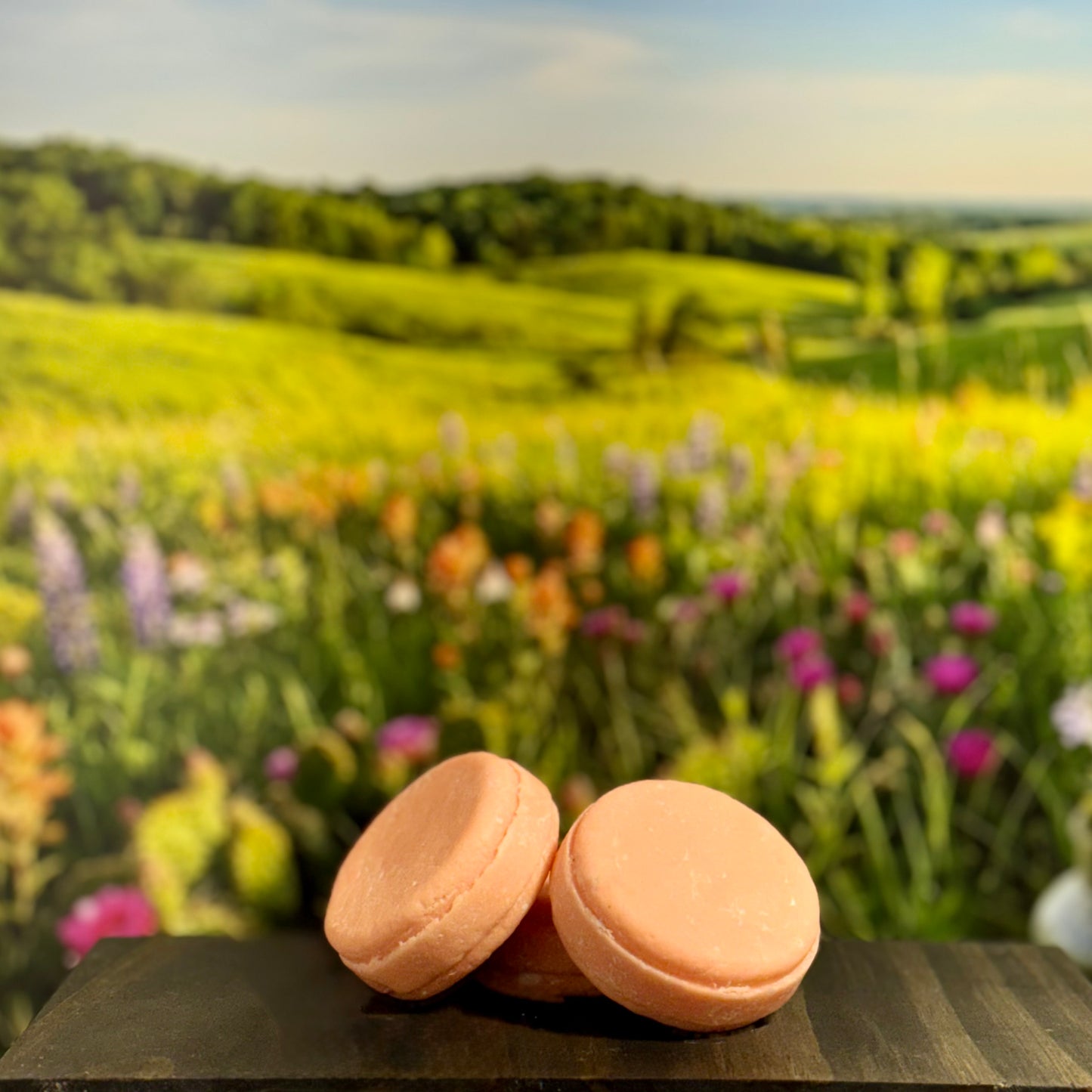 No. 7 - Coulee Country - Jojoba & Rice Solid Shampoo Bar
